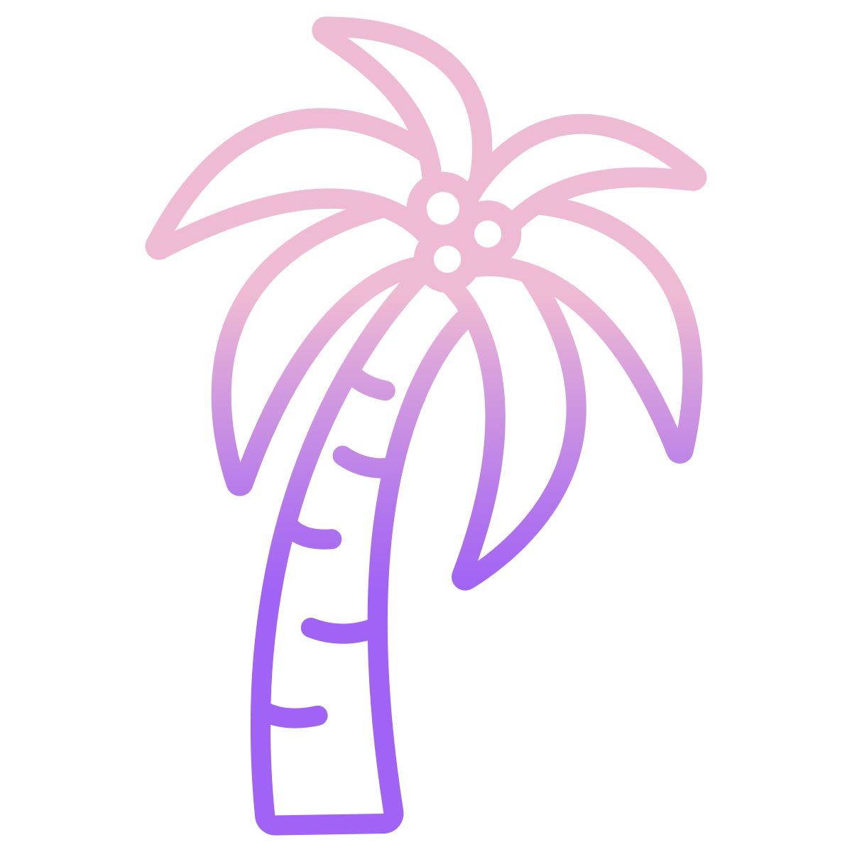 palm tree icon