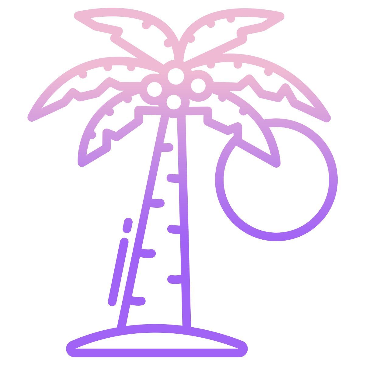 palm tree icon