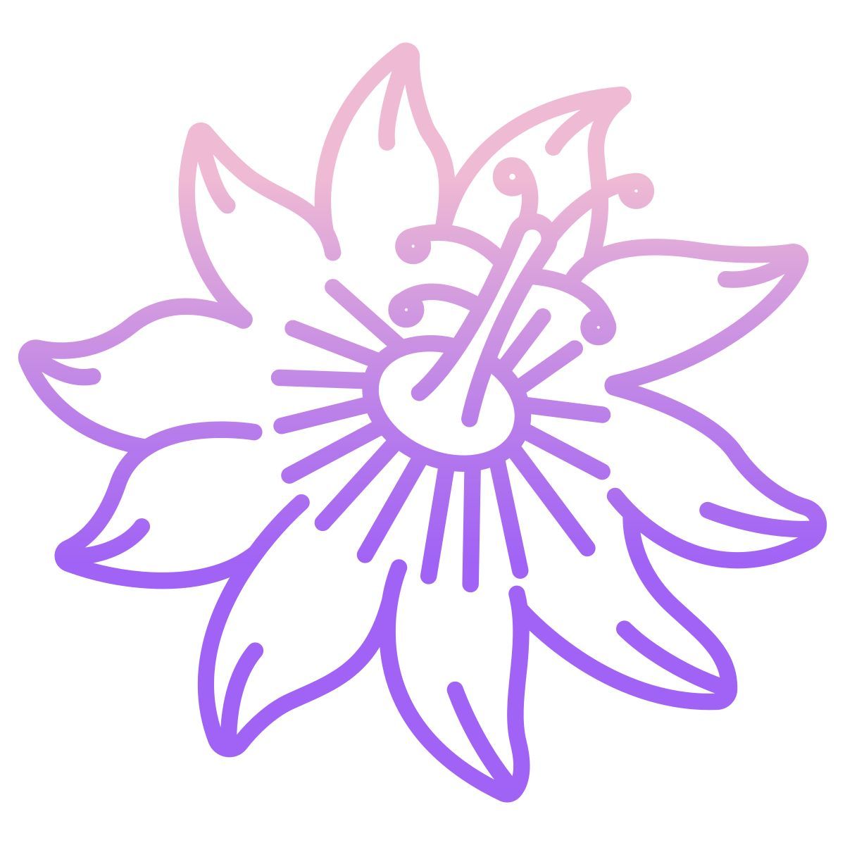 paixão icon