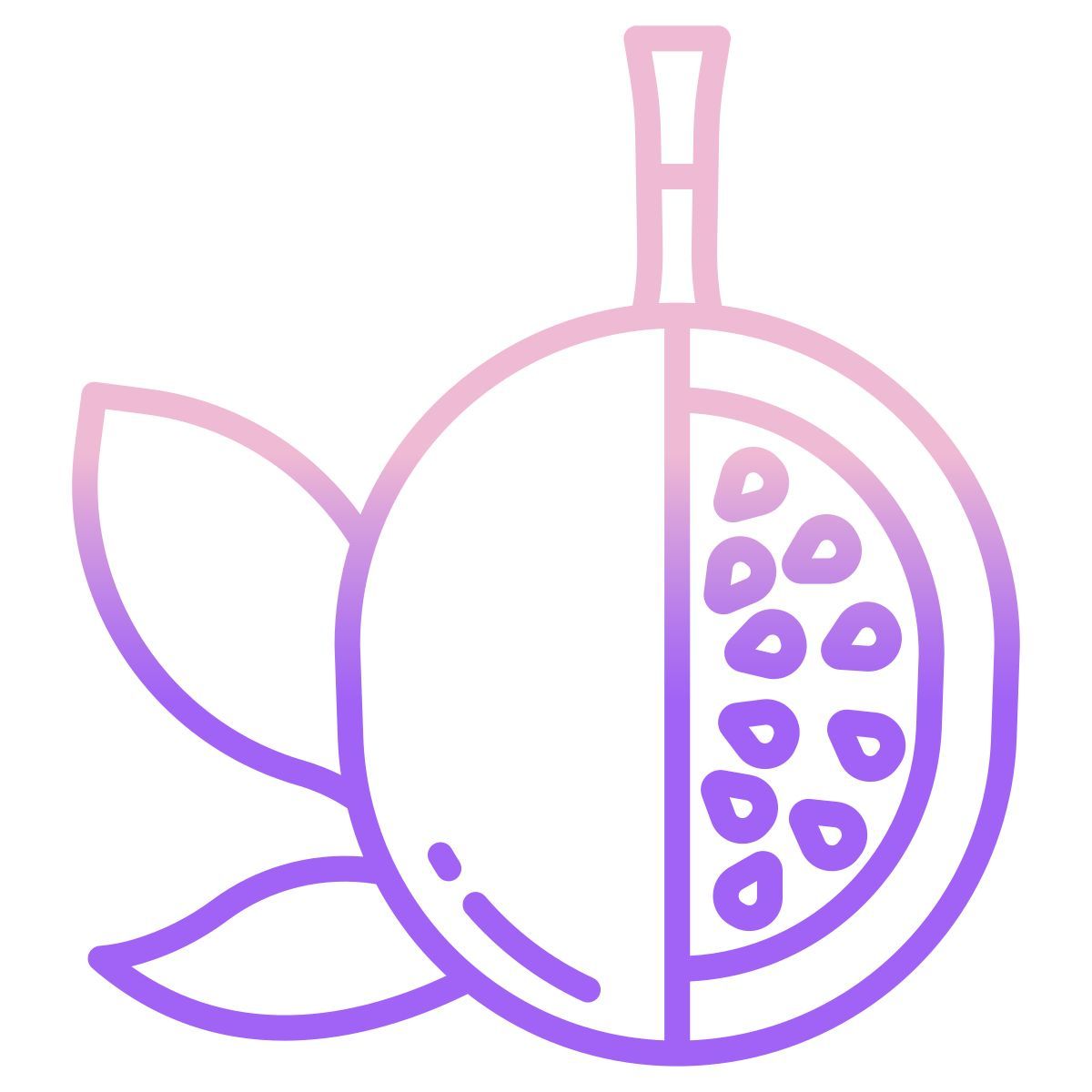 passion fruit icon