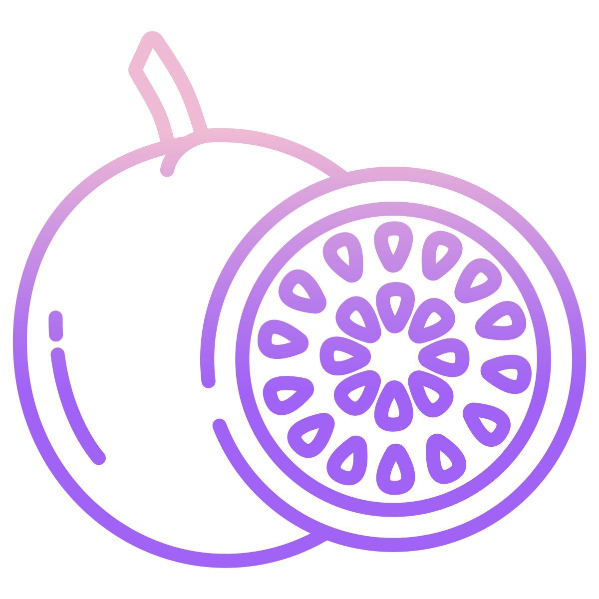 passion fruit icon
