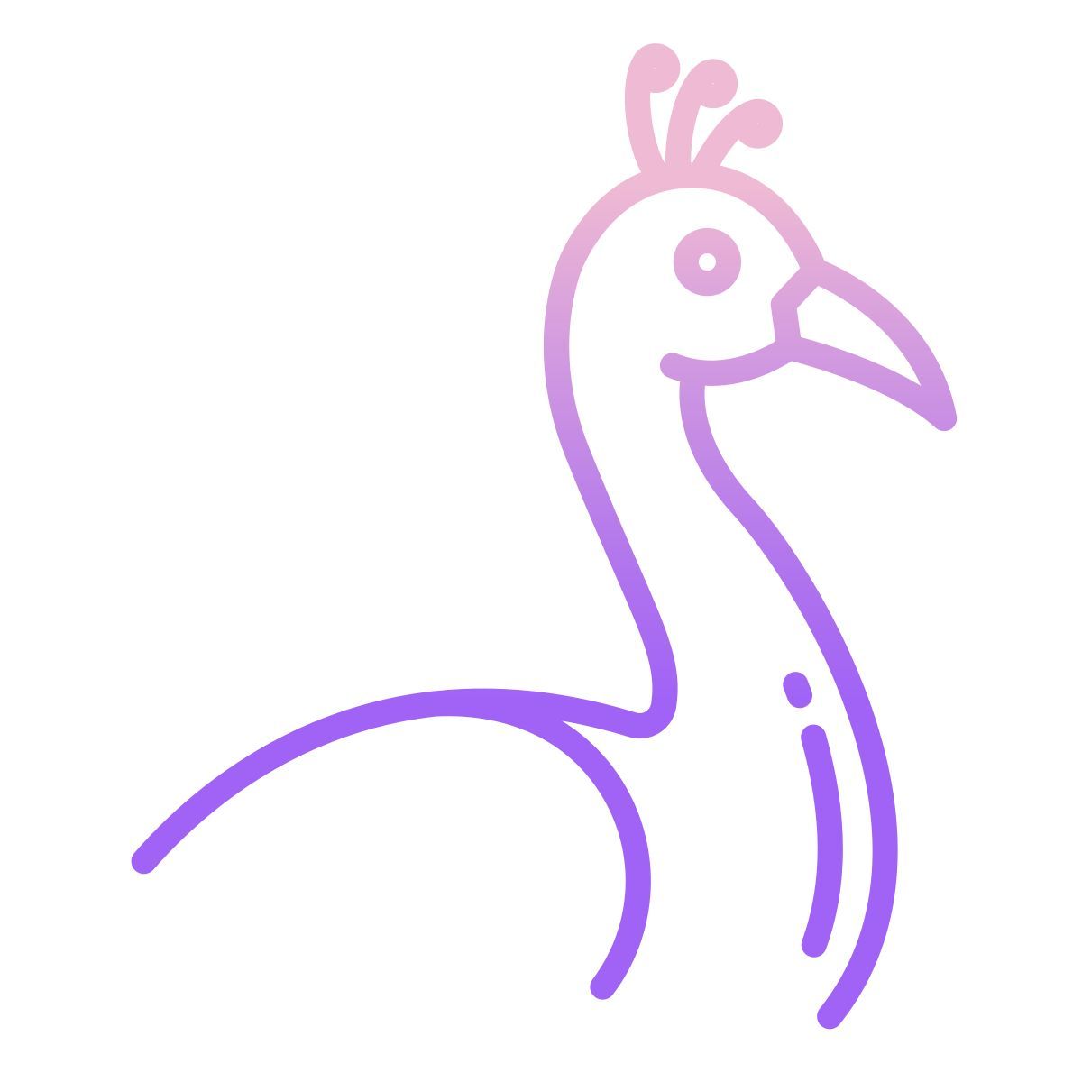 peacock icon