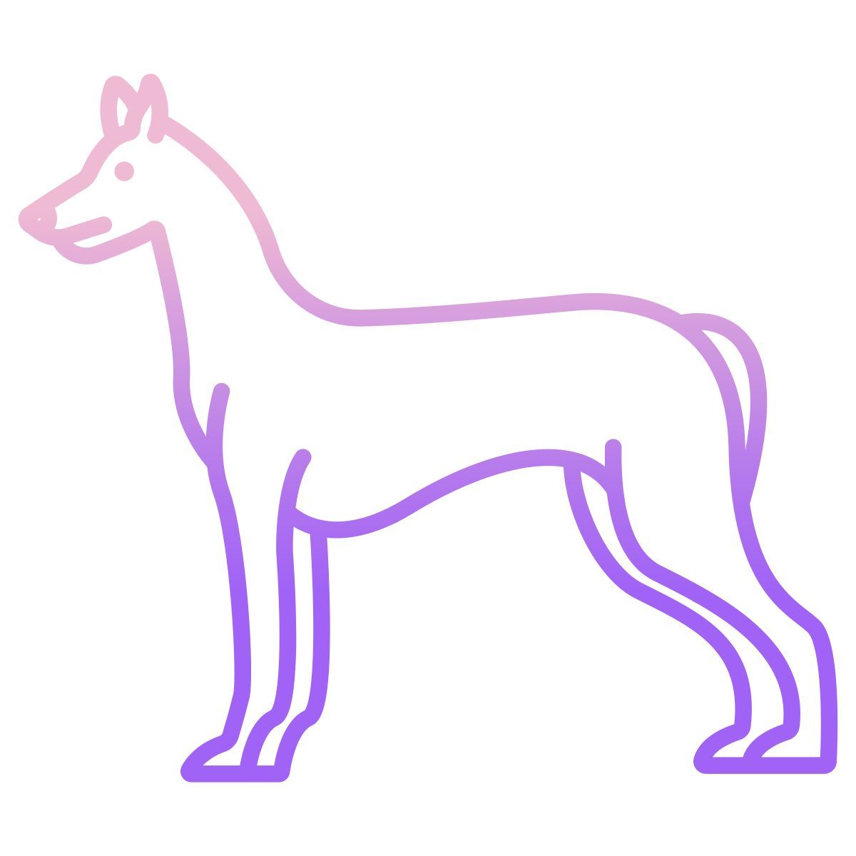 pharaoh hound icon