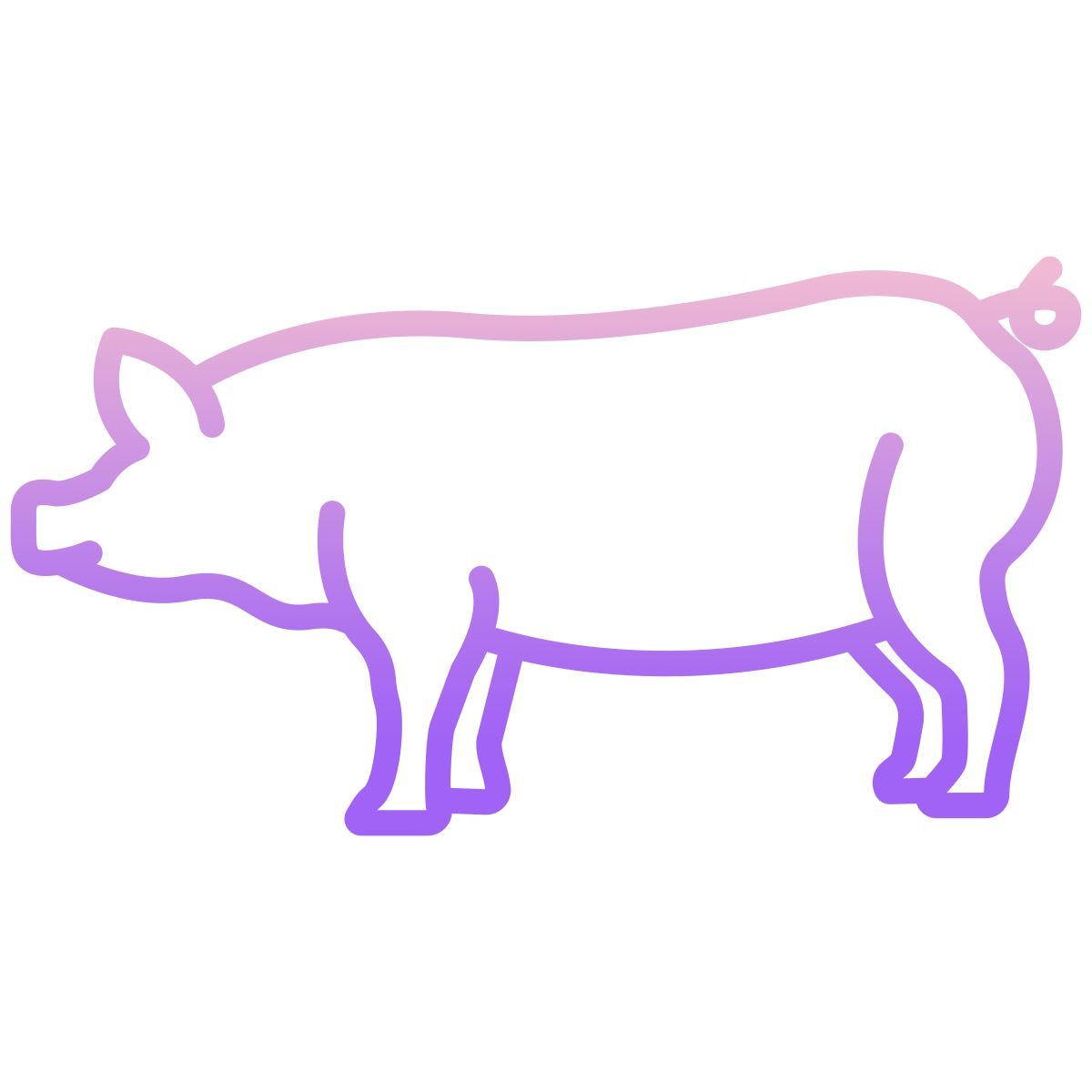 pig icon
