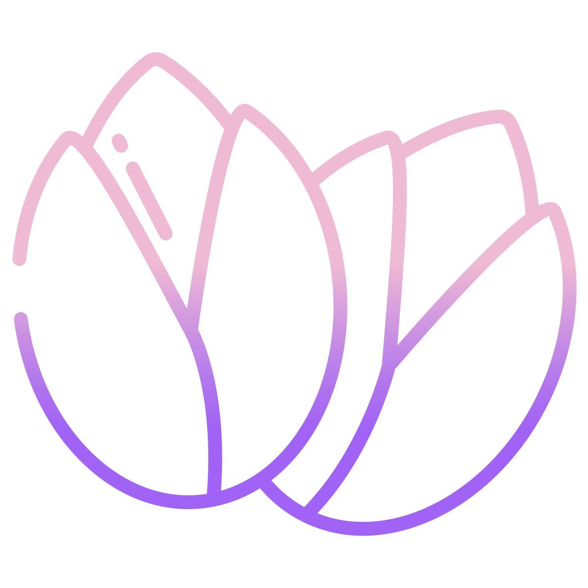 pistachio icon