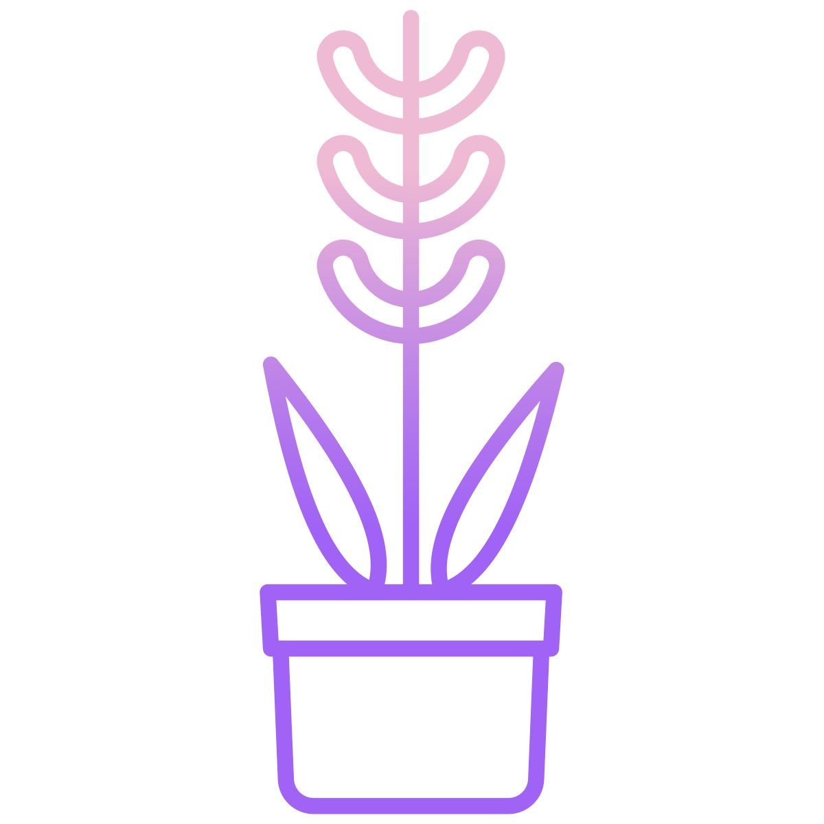 plante sous le soleil icon