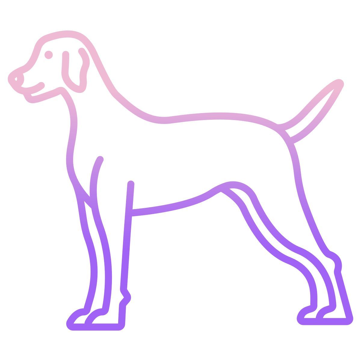 dog icon