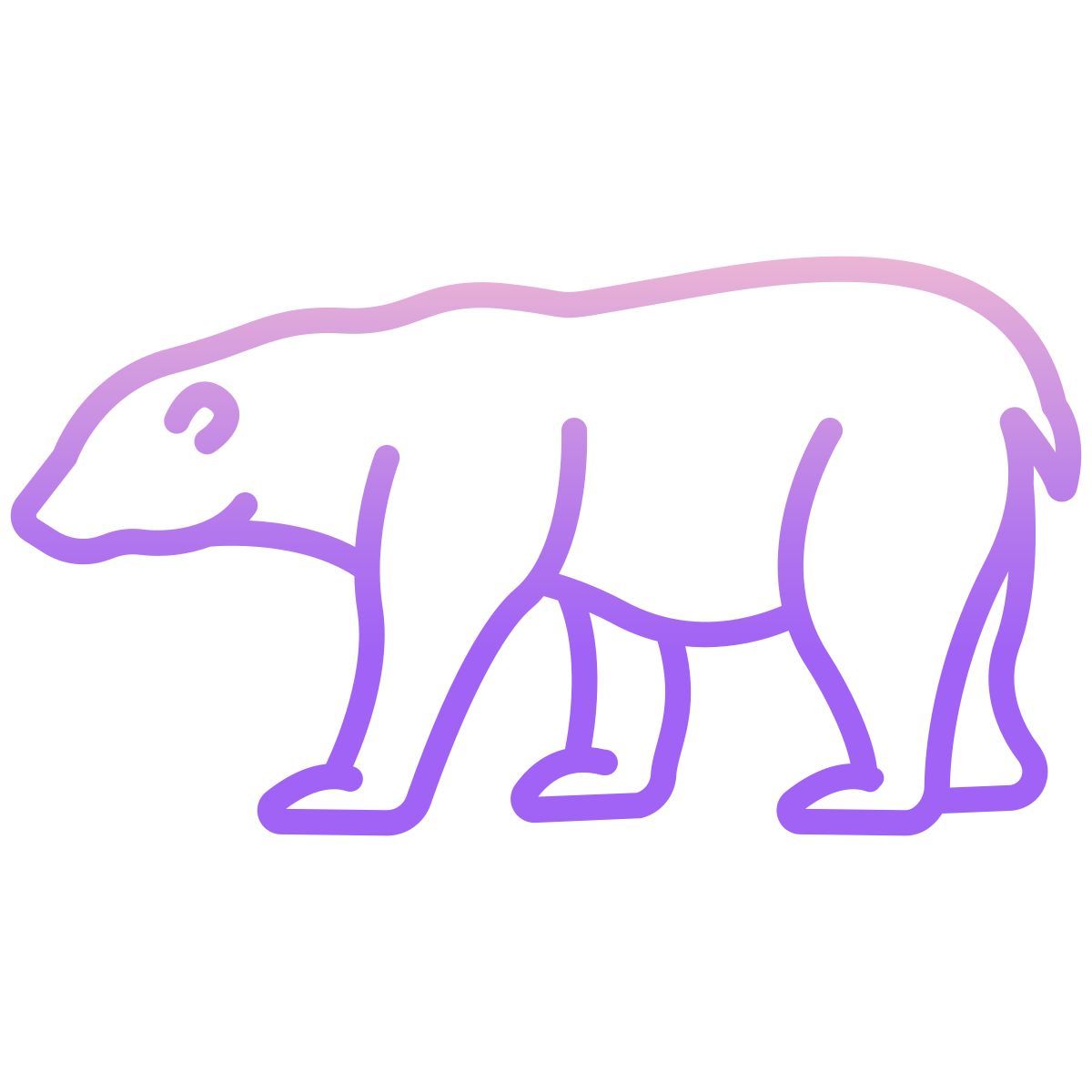 Orso polare icon