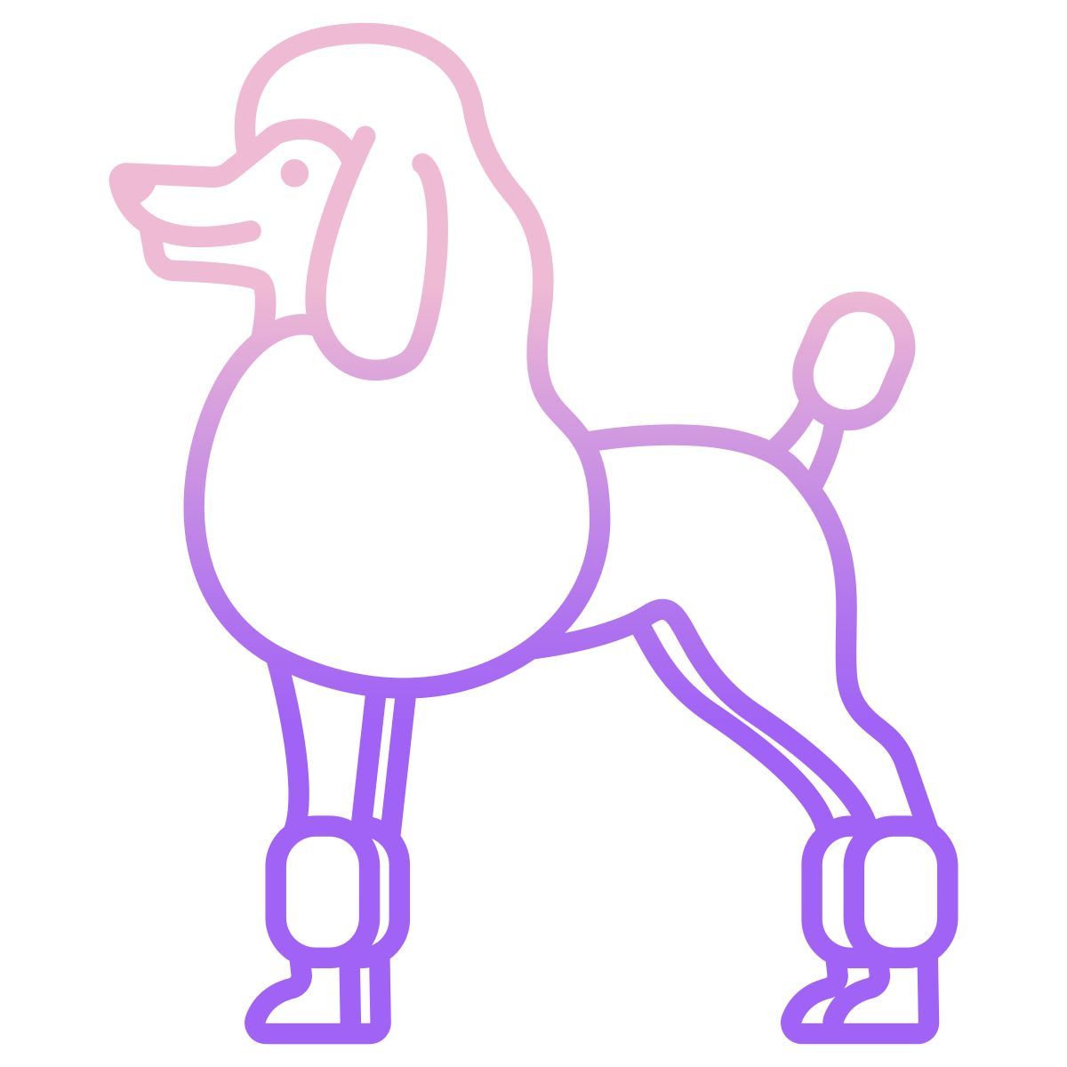 poodle icon