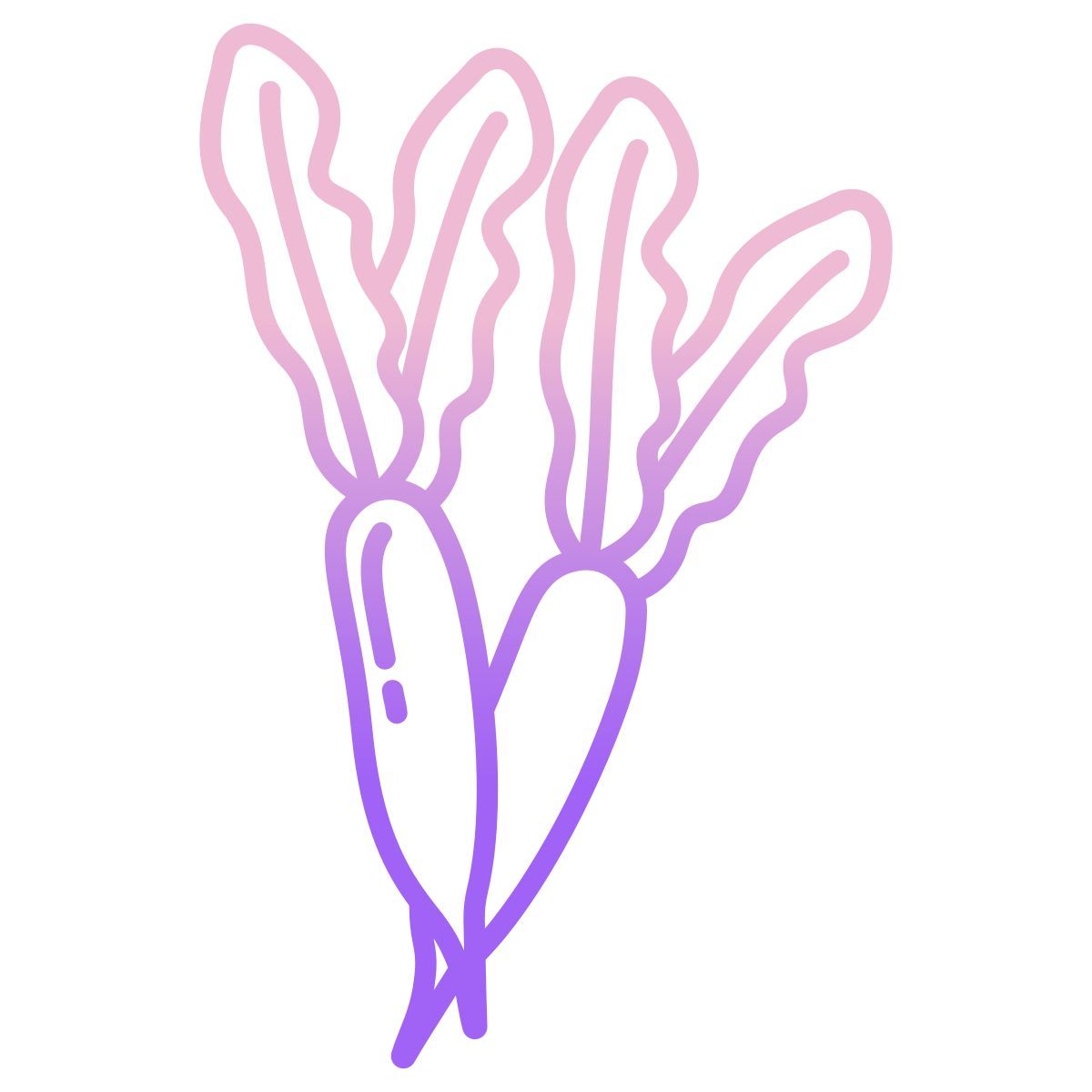 radish icon