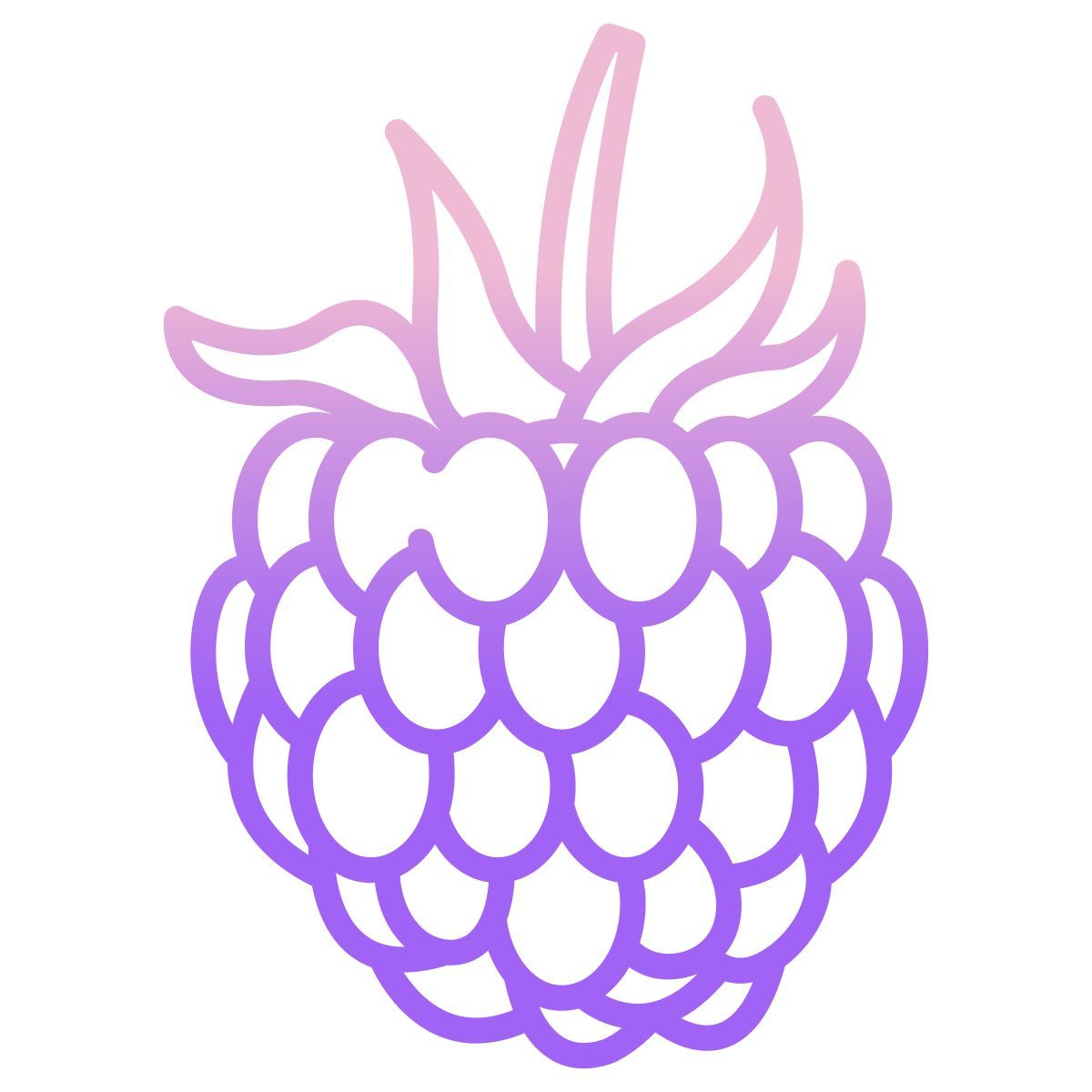 raspberry icon