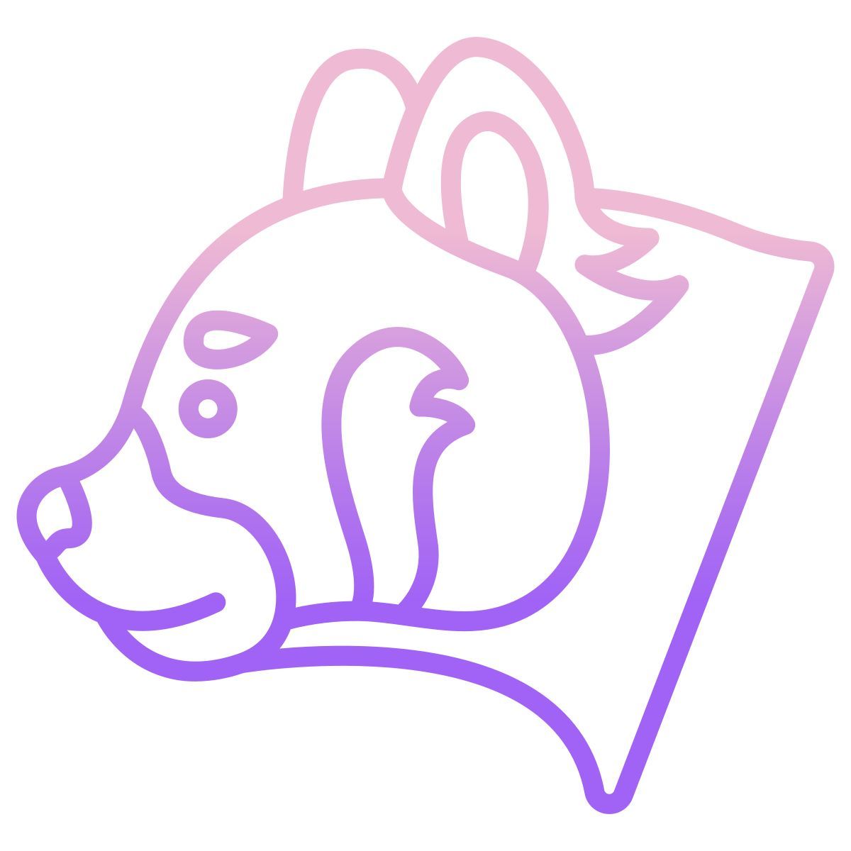 red panda icon