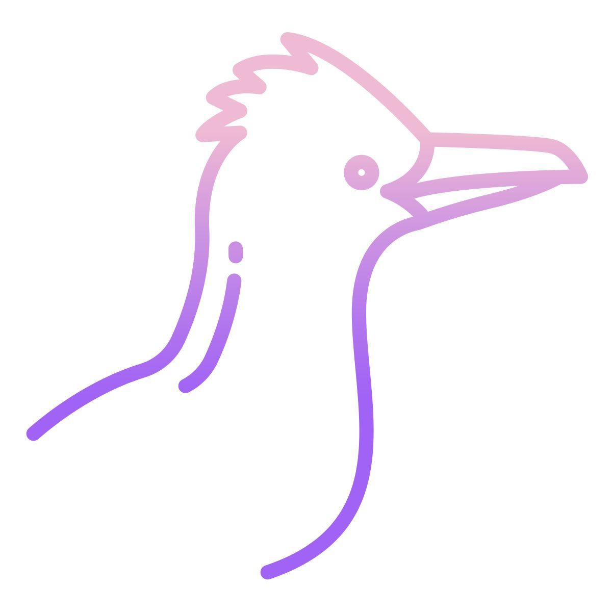 roadrunner icon