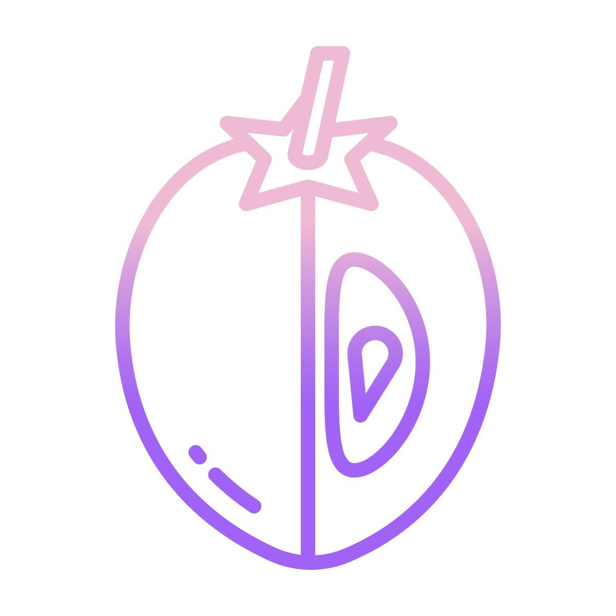 sapodilla icon