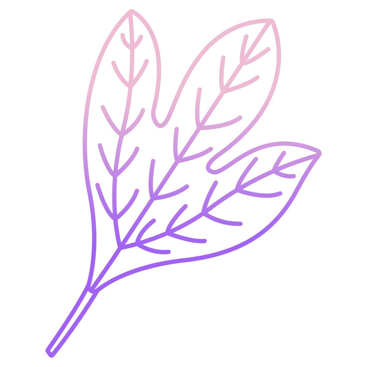 sassafras icon