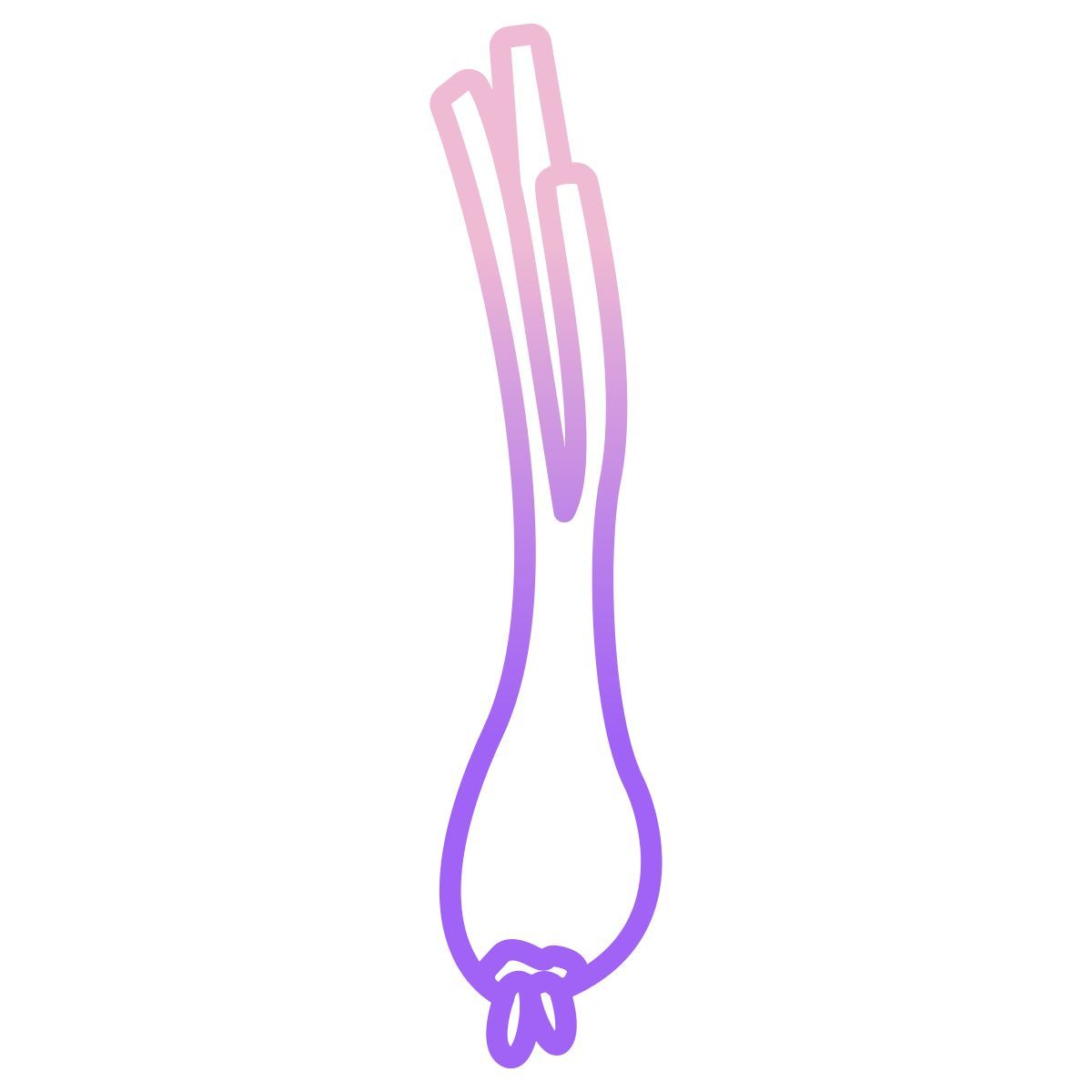 Oignon vert icon