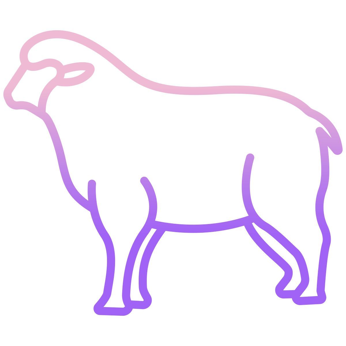 sheep icon