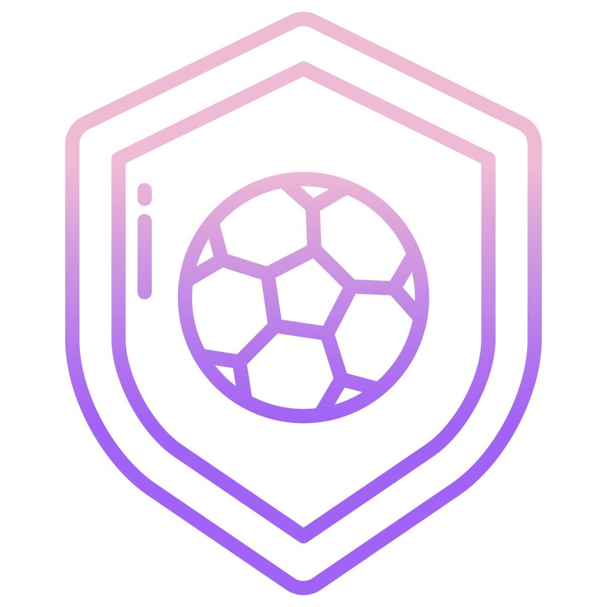 shield icon