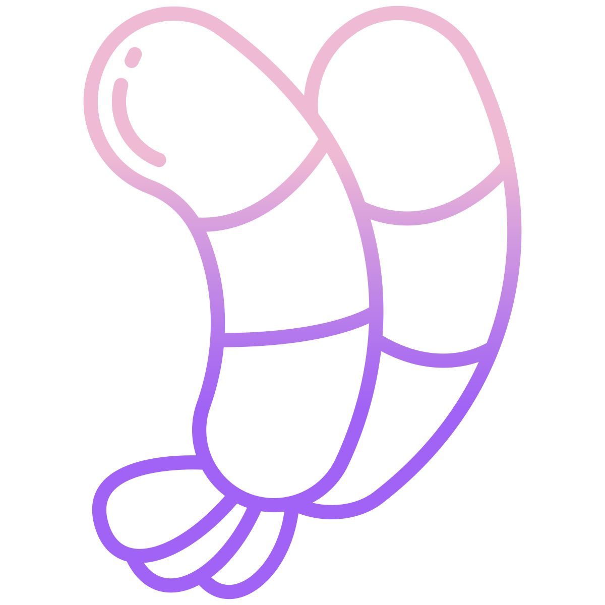 shrimp icon