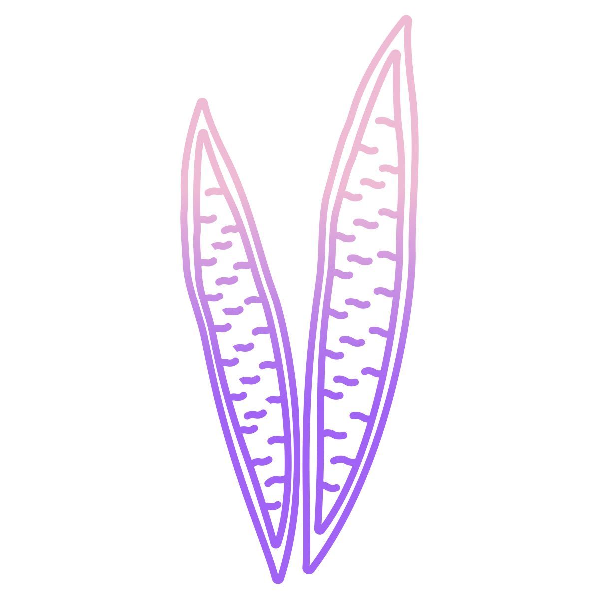 snake plant icon