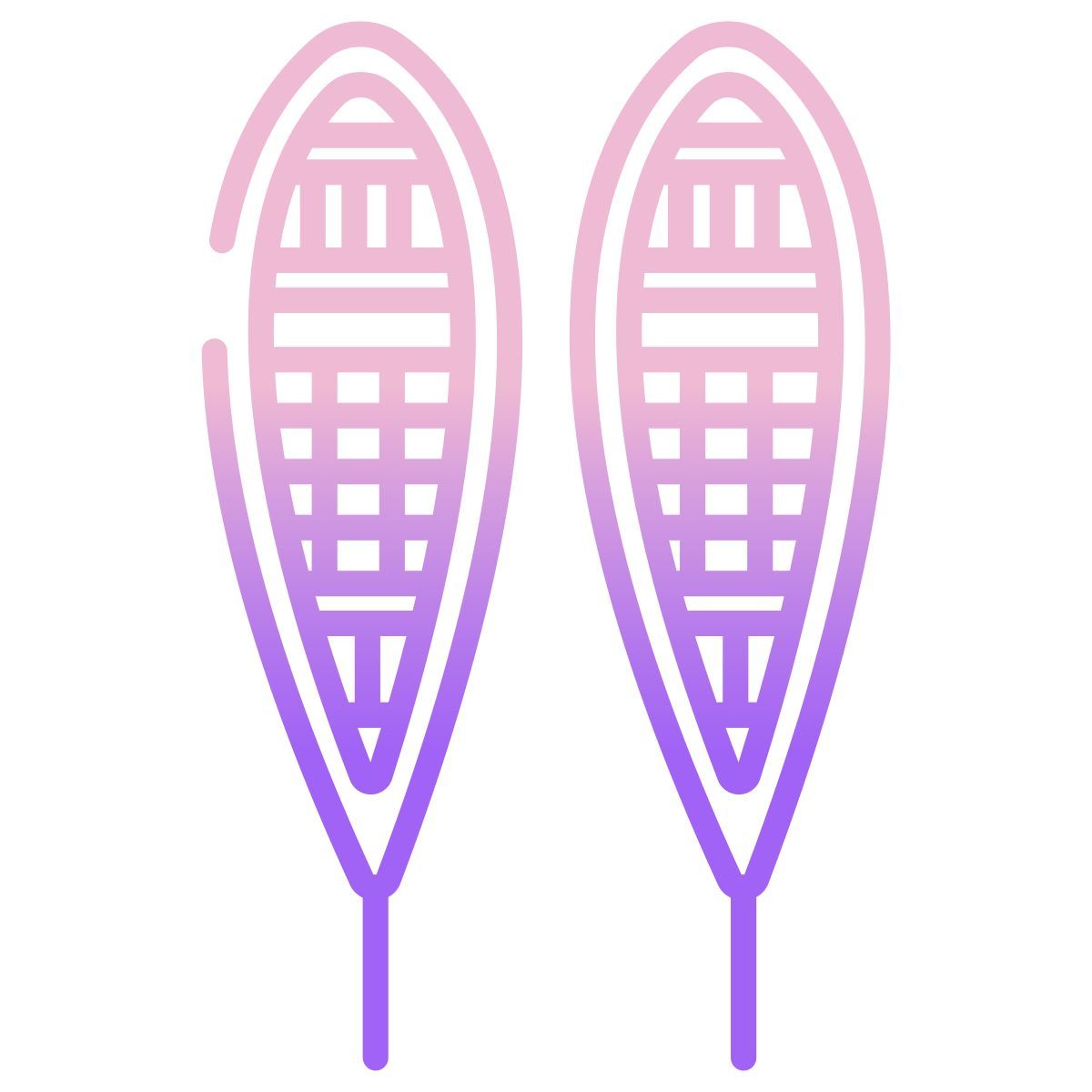 snowshoes icon