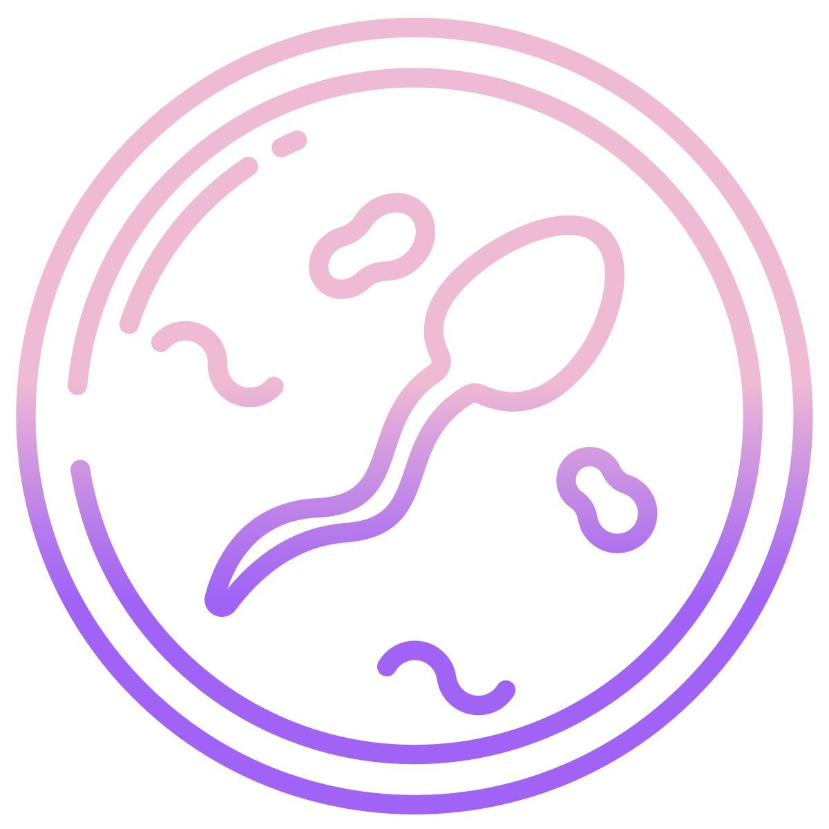 sperm icon