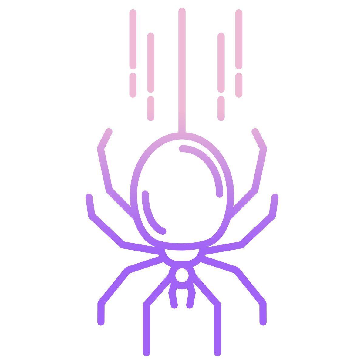 spider icon