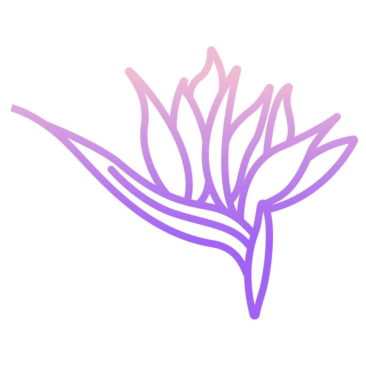 strelitzia icon