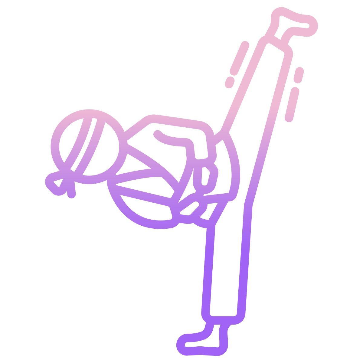 taekwondo icon