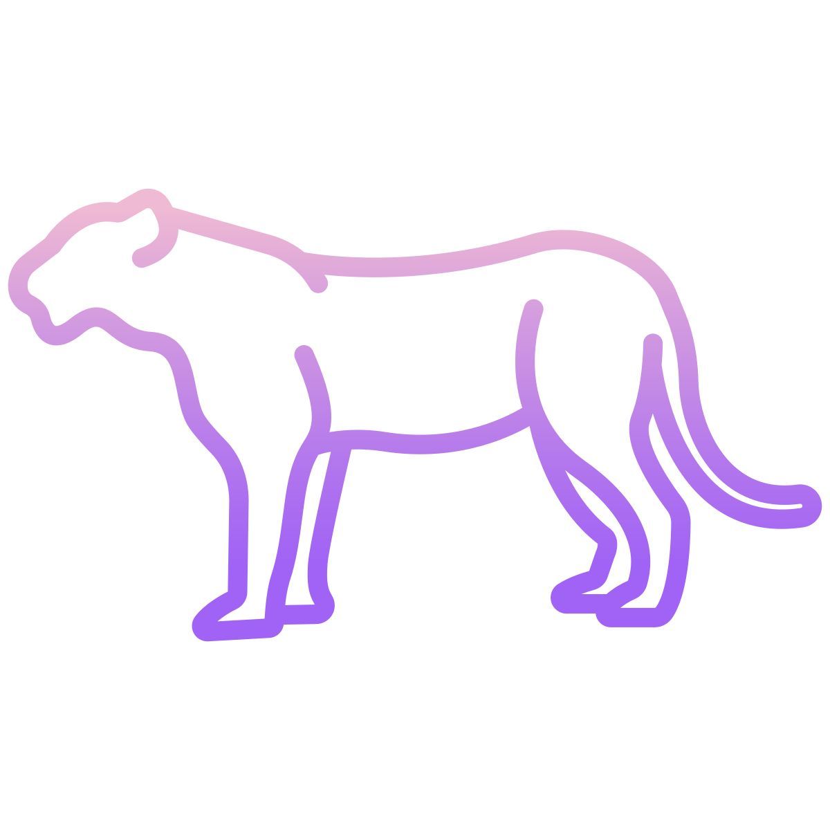 tiger icon
