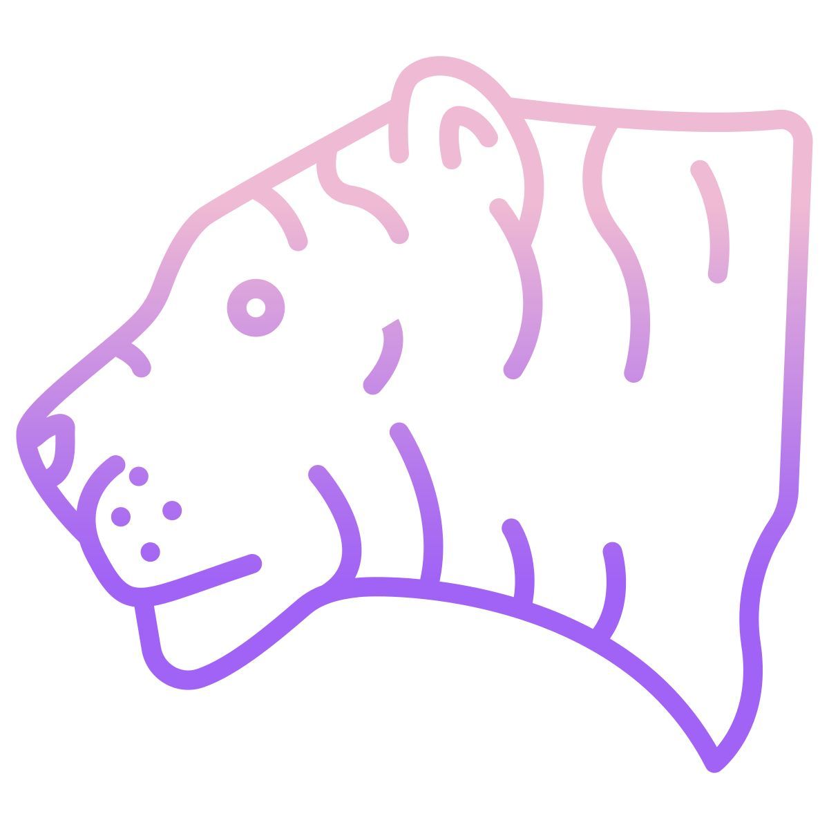 tiger icon
