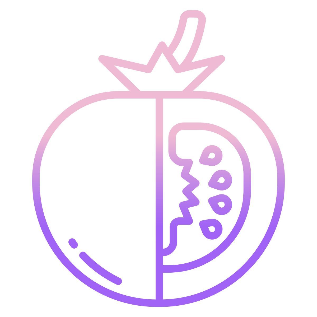 tomato icon