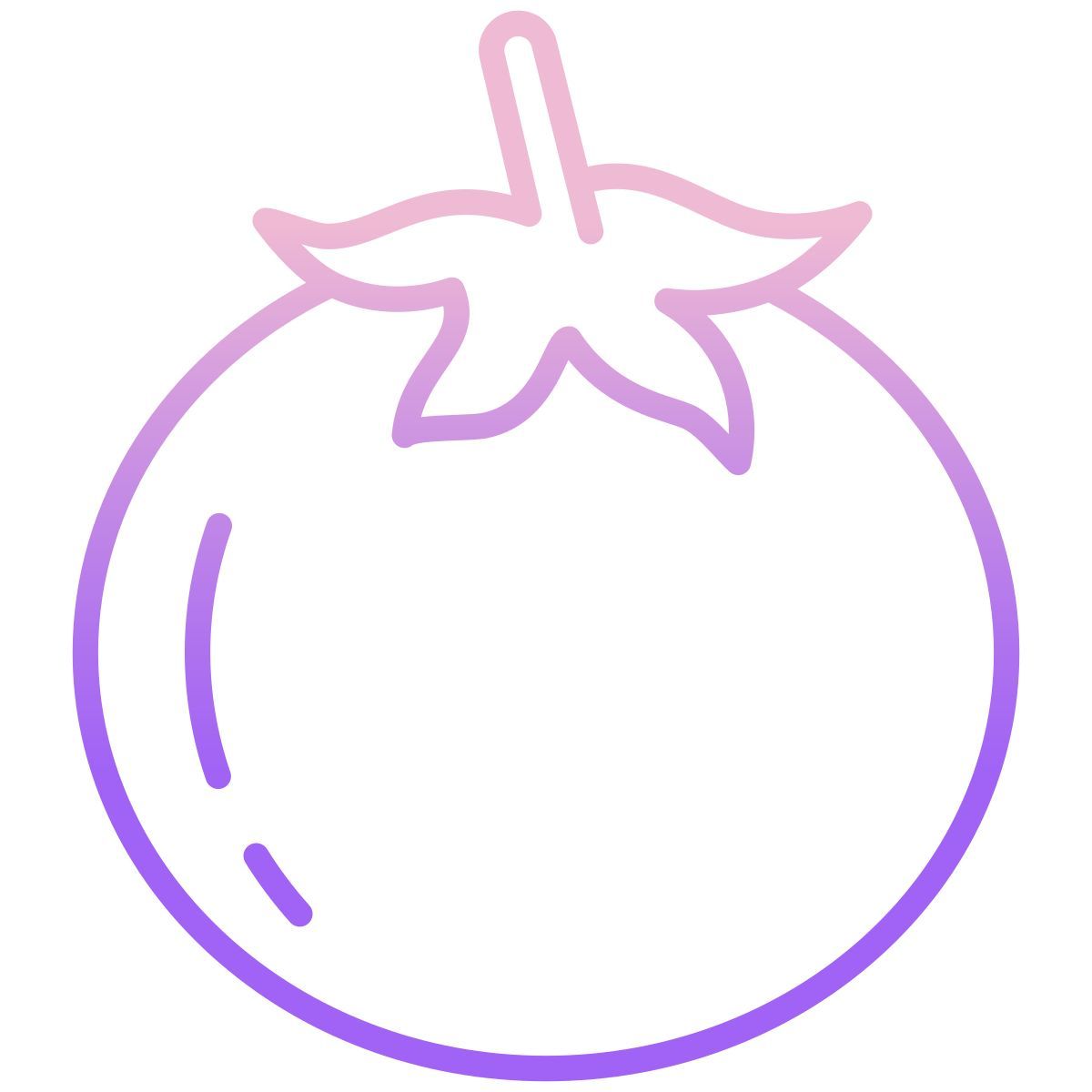 tomato icon