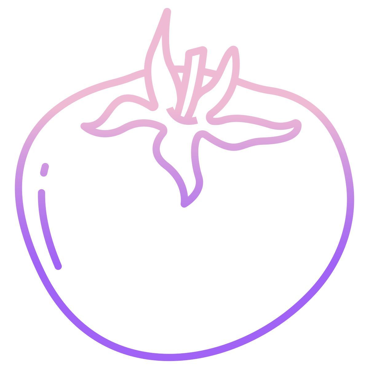 tomato icon