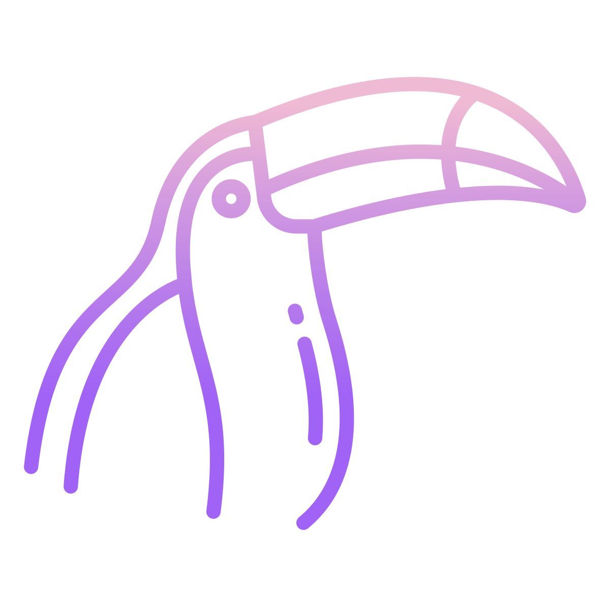 toucan icon