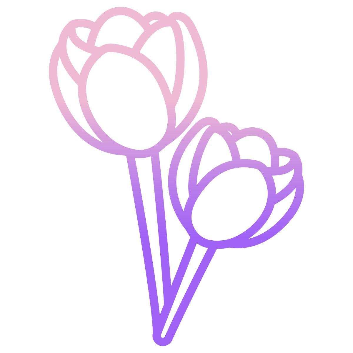 tulip icon