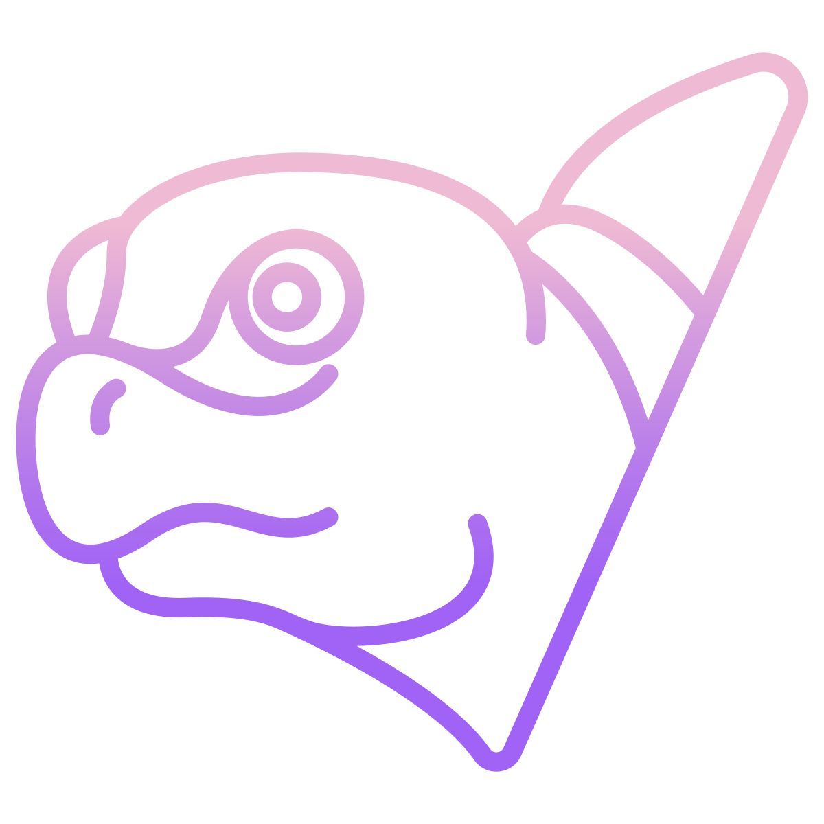 turtle icon