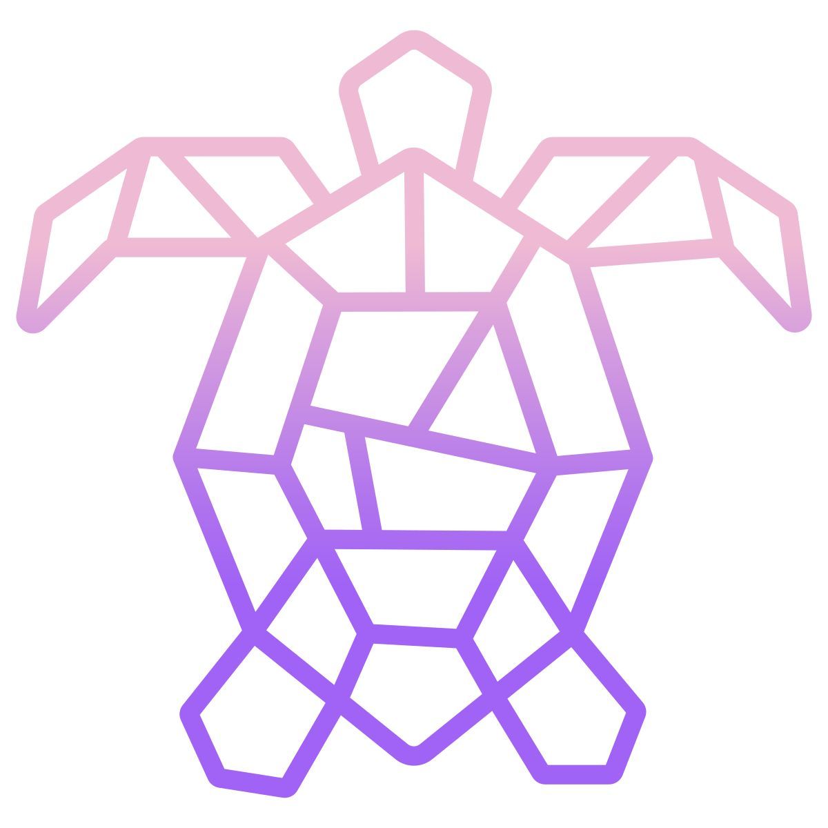 turtle icon