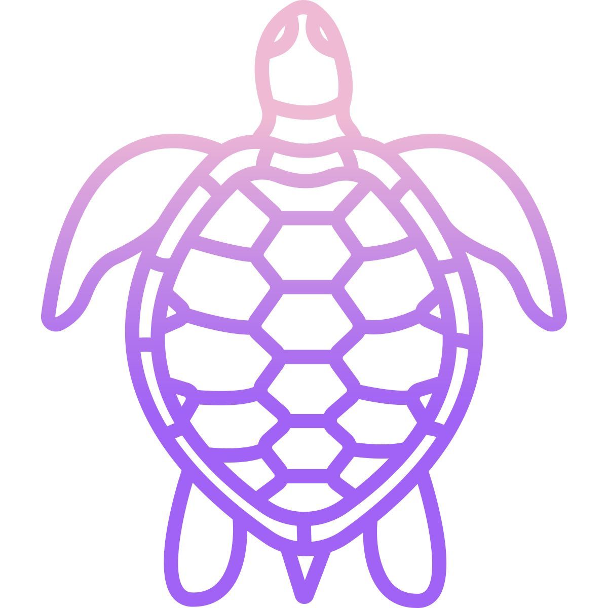 turtle icon