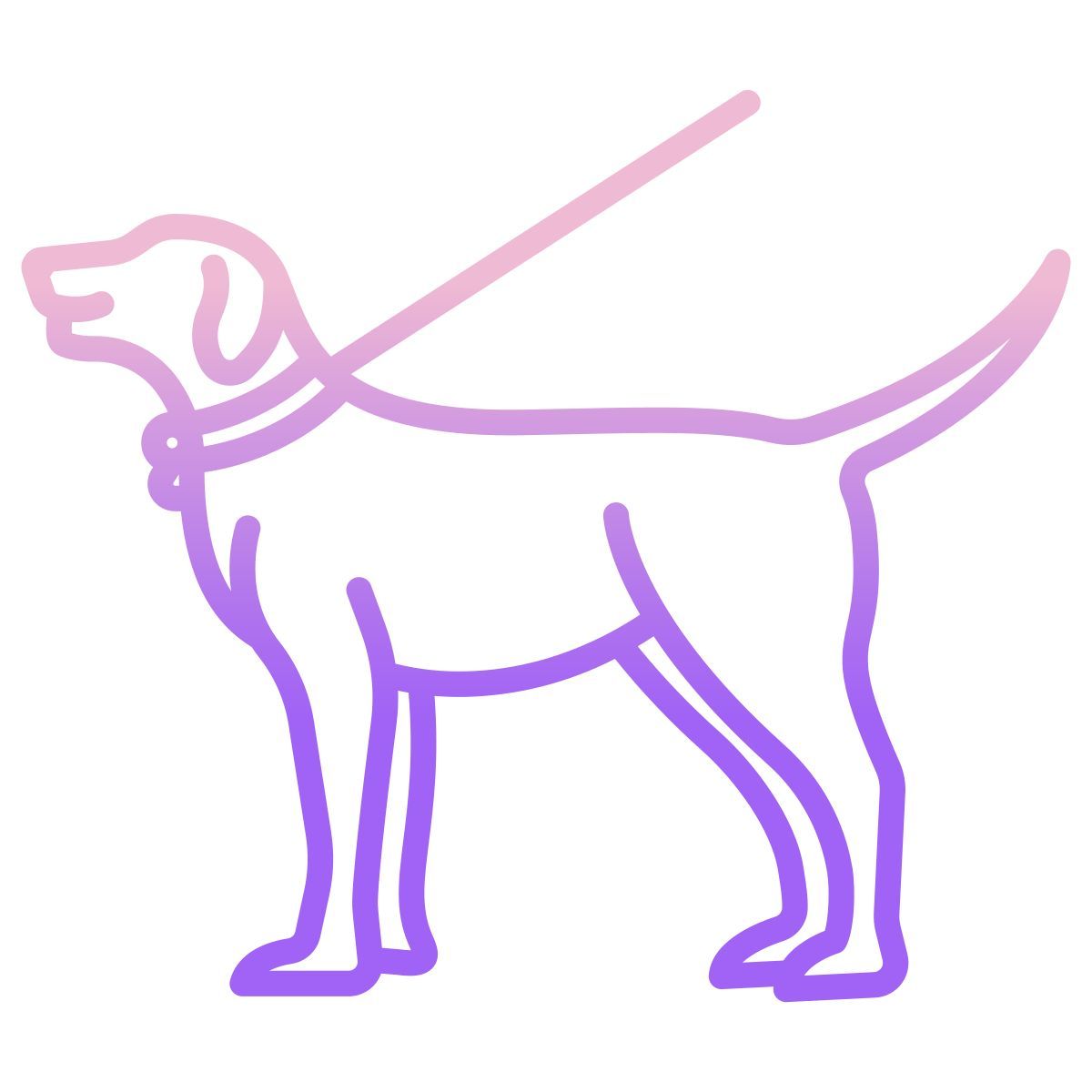 walking the dog icon