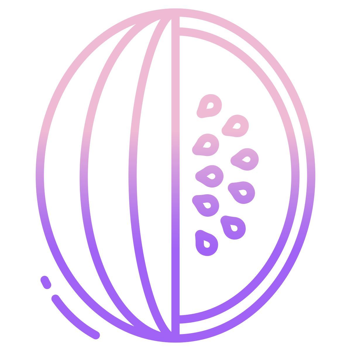 water melon icon