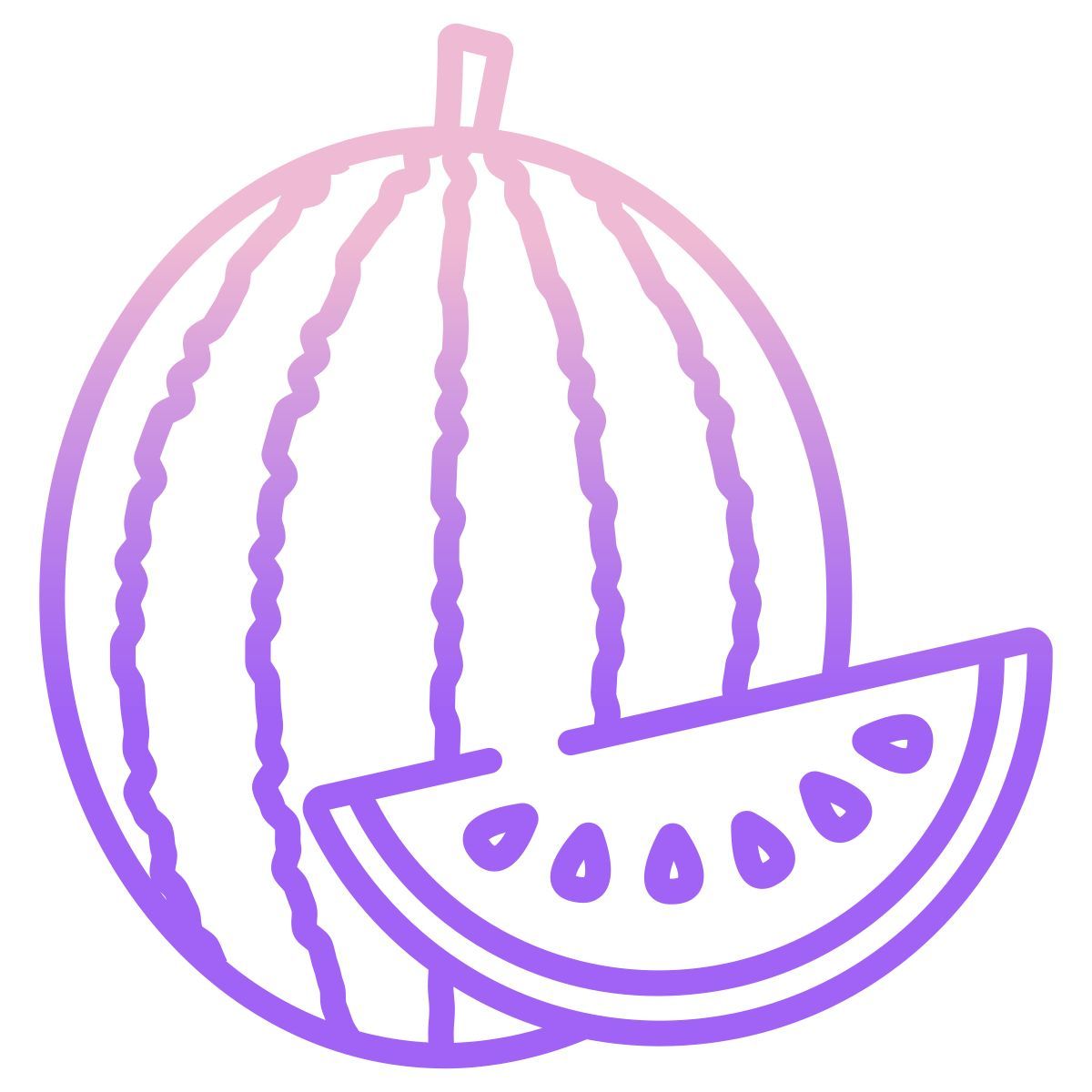 watermelon icon