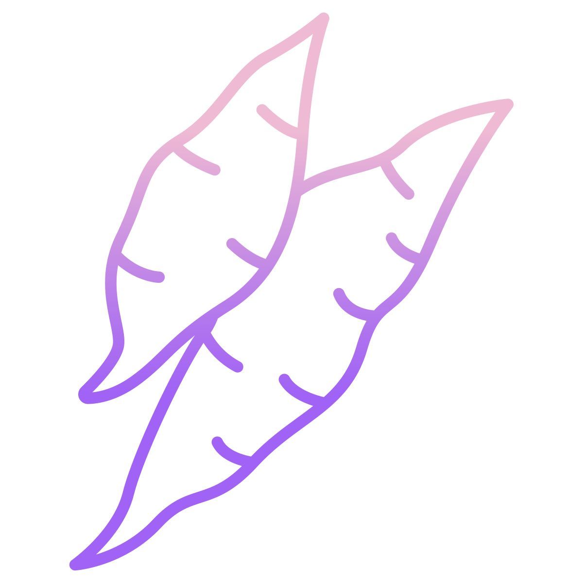 yucca icon