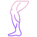 external Leg-human-body-parts-icongeek26-outline-gradient-icongeek26 icon