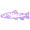 external Trout-fishes-icongeek26-outline-gradient-icongeek26 icon