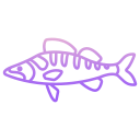 external Zander-Fish-fishes-icongeek26-outline-gradient-icongeek26 icon