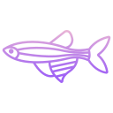 external Zebra-Danio-Fish-fishes-icongeek26-outline-gradient-icongeek26 icon