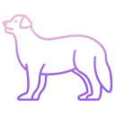 external bernese-mountain-dog-breeds-icongeek26-outline-gradient-icongeek26 icon