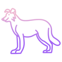 external border-collie-dog-breeds-icongeek26-outline-gradient-icongeek26 icon