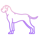 external boxer-dog-breeds-icongeek26-outline-gradient-icongeek26 icon